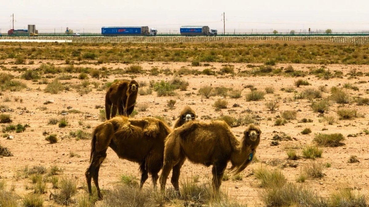 LandSpace(蓝箭航天)’s LOX/CH4 methane fueled rocket Zhuque-2 Y2 entered Jiuquan Launch Center on May 12, aiming to be world’s first methane rocket ever launched into orbit, after failures of its ZQ-2 Y1, <a href="/relativityspace/">Relativity Space</a>’s Terran-1 &amp; <a href="/SpaceX/">SpaceX</a>’s Super Heavy buff.ly/3q29hgA