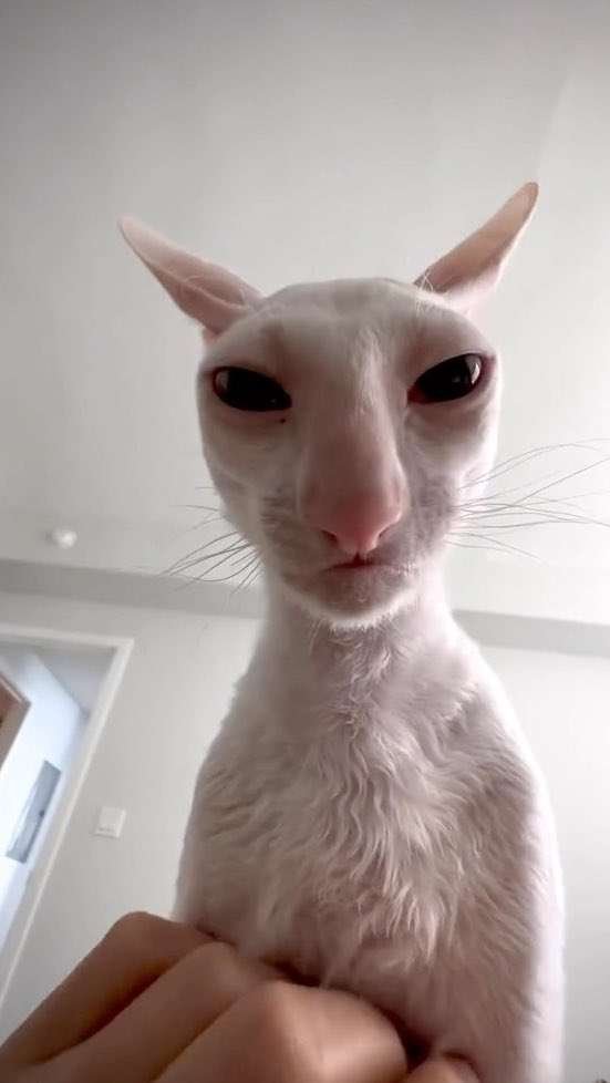 he was forced to repeat the same 4 lines of dialogues for 3 years