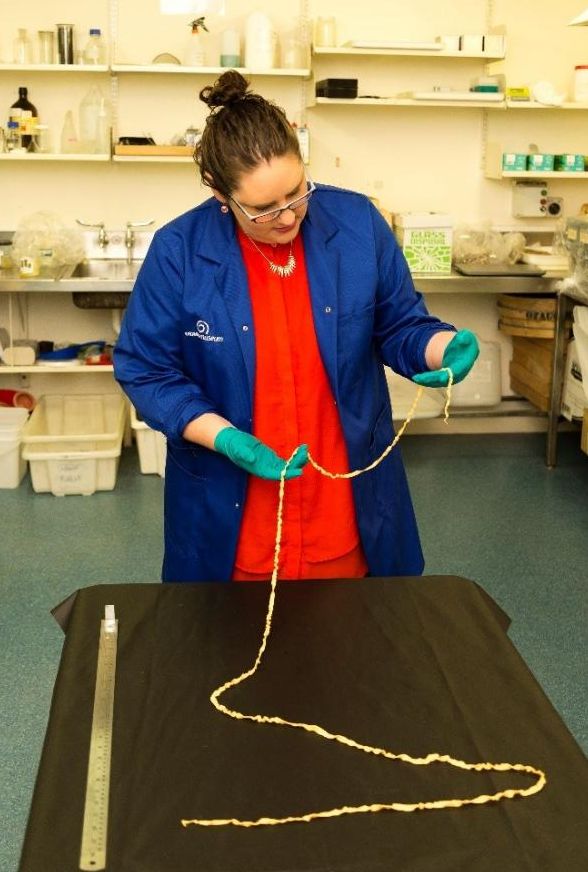 After a long time <a href="/Otagomuseum/">Tūhura Otago Museum</a> (like, longer than this giant trematode from inside a sunfish), I'm moving on.

Thanks to supporters of museum natural history collections, projects, adventures and care.  

Catch you up <a href="/docgovtnz/">Department of Conservation</a> Coastal Otago Office as Senior Ranger, Community.