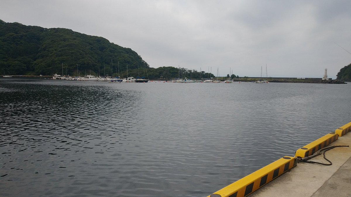 yoko_8008's tweet photo. 今日は安良里で🛥️🤿
海ん中からも沖縄に向かって念を送りました！
ごーびーこー🏴‍☠️🌹🌊
@dolphineyes_ds
#ダイビング
#小田原ダイビング
#ドルフィンアイズ
#神奈川ダイビング
#神奈川ダイビングショップ
#ダイビングスクール
#ダイビング免許
#IamSSI
#divessi
#MySSI
#ダイビングが上手くなりたい https://t.co/Hbzry2vX7s