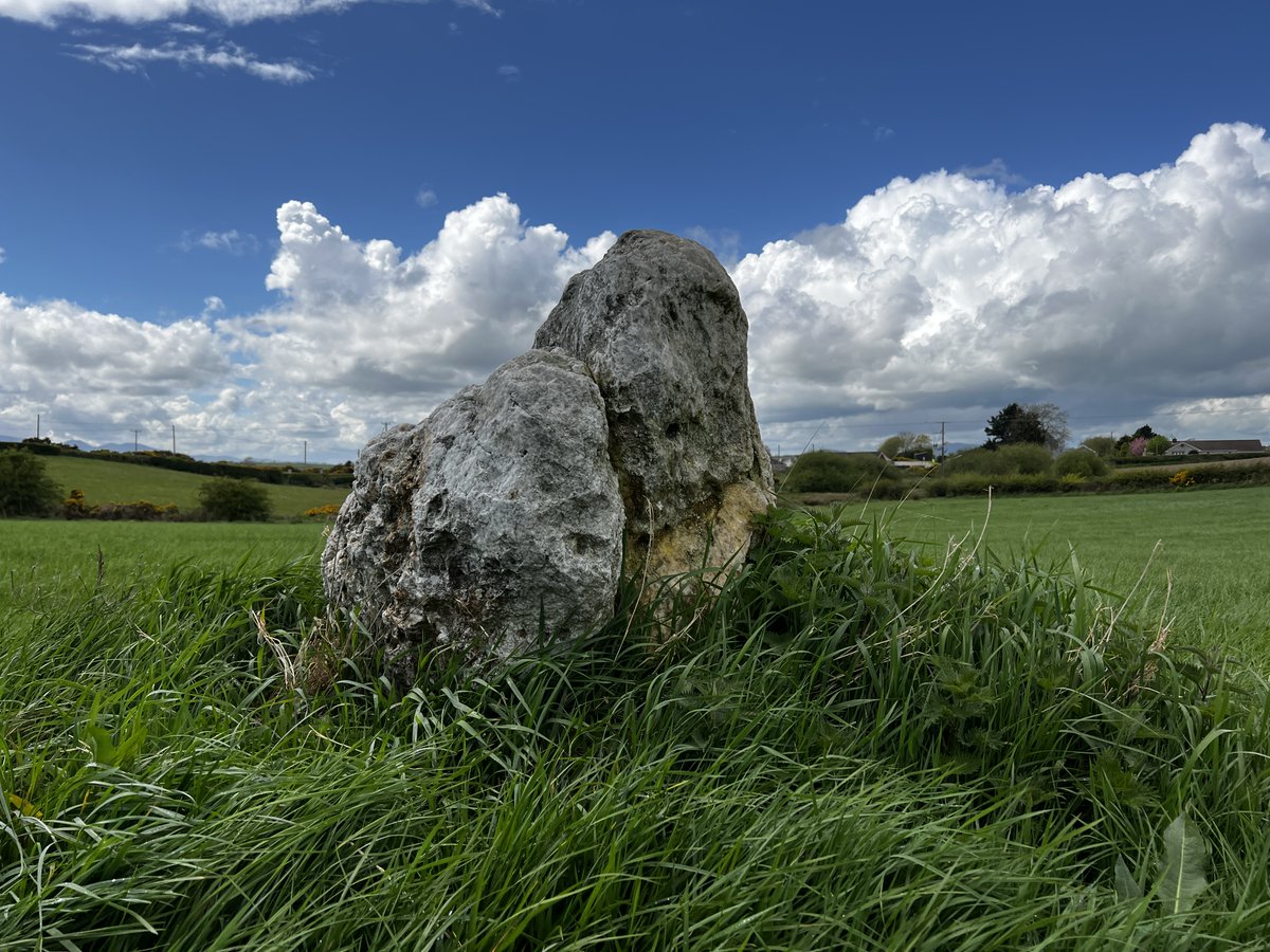 Ballynoe Standing Stone - This quartzite pillar stands in a field around half a mile from the Ballynoe Stone Circle...1.25m high x 0.65m wide x 0.65m thick #StandingStoneSunday