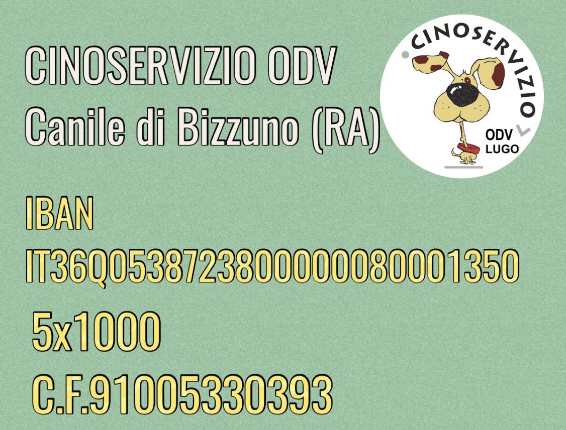 #cinoservizio #caniledibizzuno #wearebizzuno #cinoservizioodv #alluvione #AlluvioneRomagna #alluvioneemiliaromagna