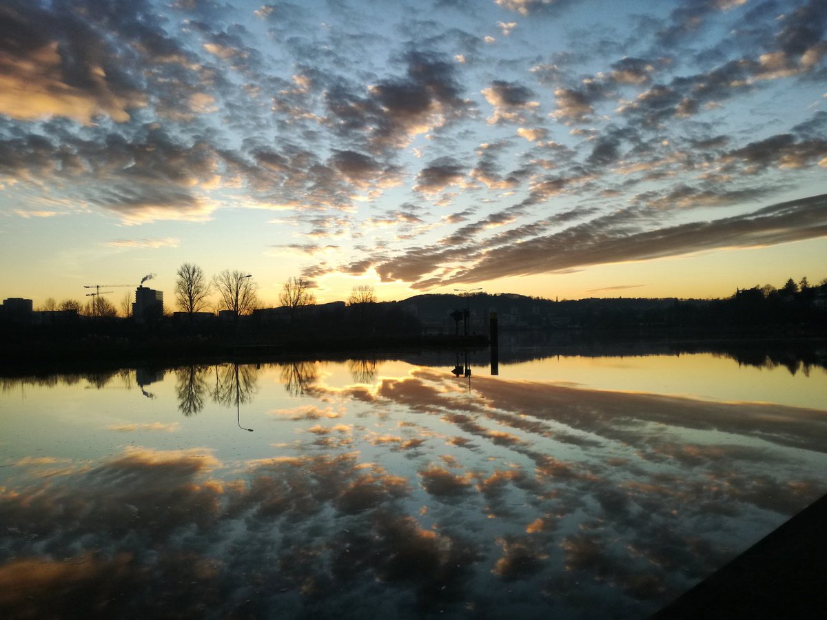 Herrkunwar's tweet photo. This one is probably my best capture till now without a camera. https://t.co/w8wdO3FQe4