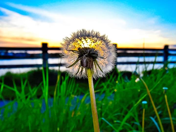 ArnieSwartzPoop's tweet image. Won a Peer award for this simple shot