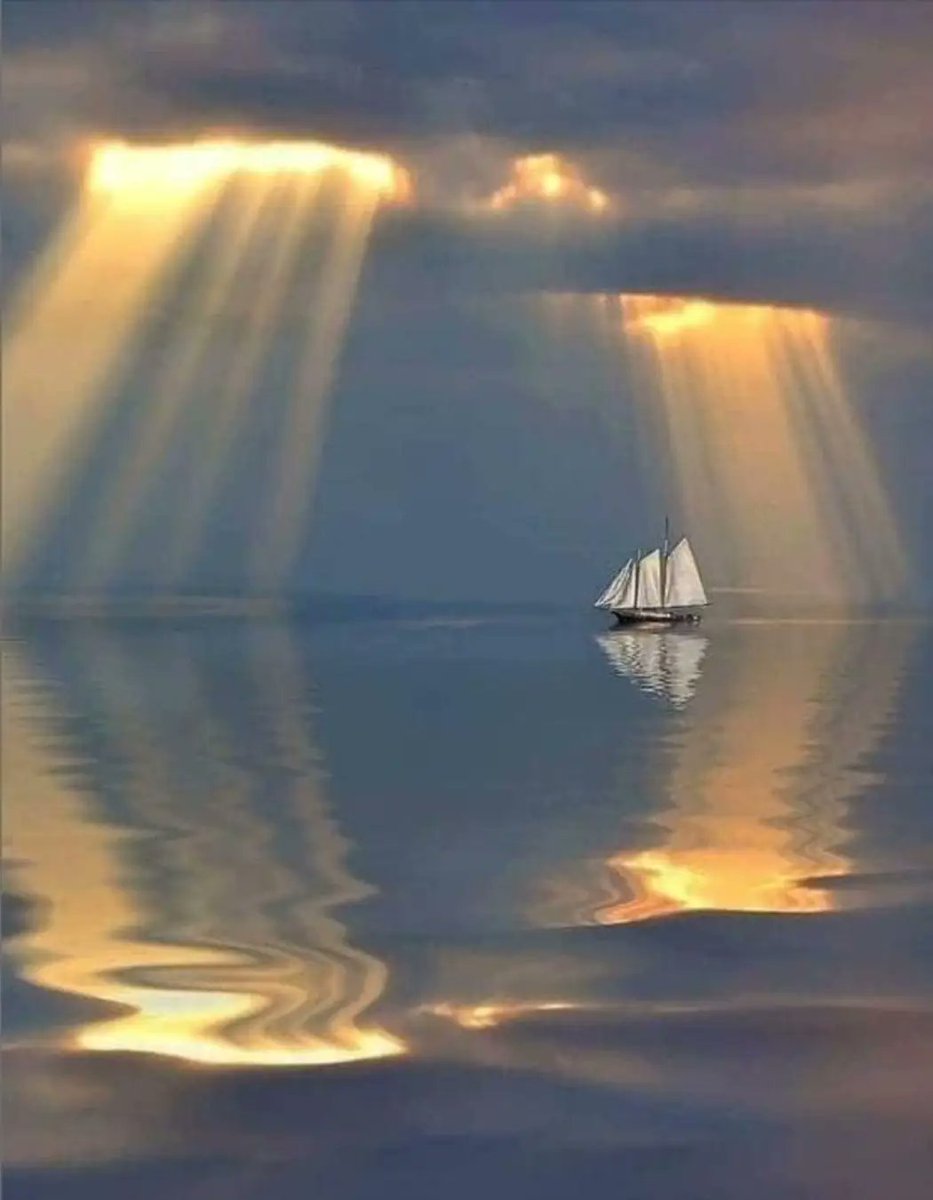 🌳Rupali (@rv1nature) on Twitter photo 