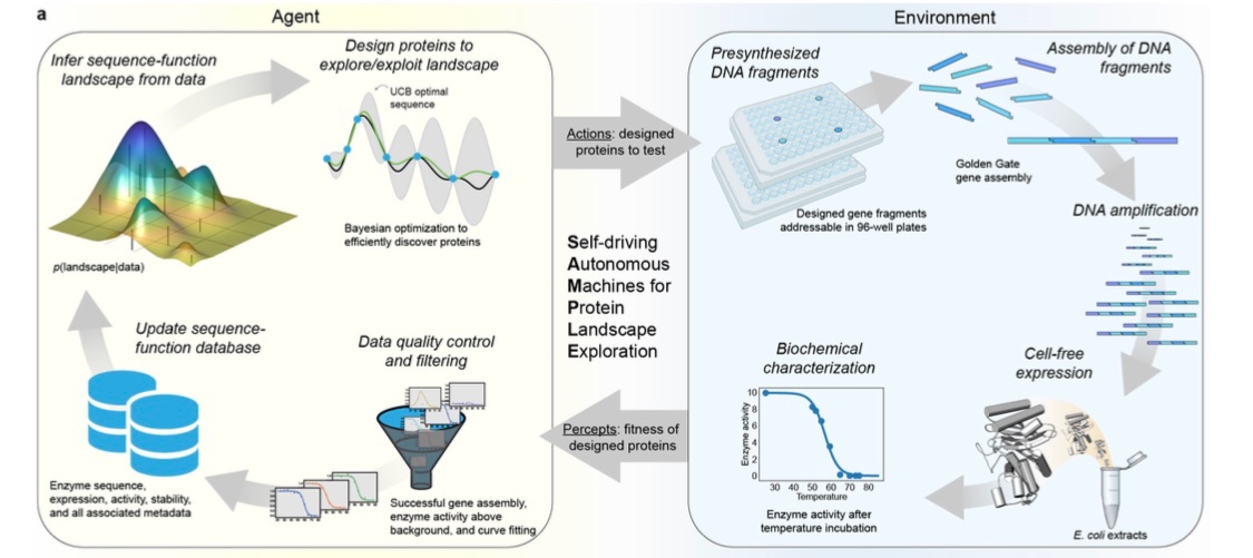 Diego del Alamo tweet media