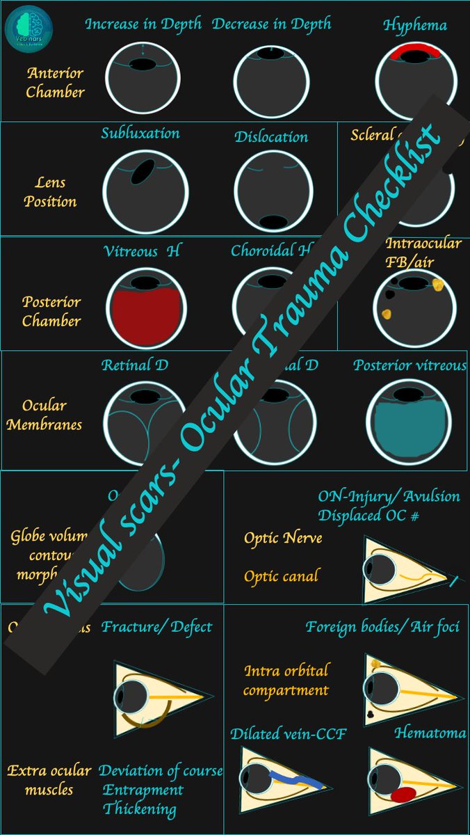 Check out our blog on imaging in orbital trauma here 👇

vebinars.in/home/f/more-th…

 #vebinars #value_based_imaging #evidence_based_practice #neurorad #FOAMrad #neurology #neurosurgery #radres #neuroradiology #trauma_imaging #ophthalmology #Trauma