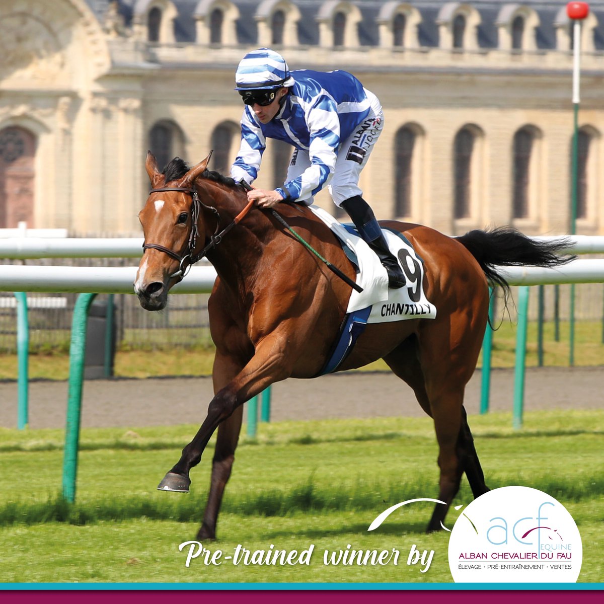 🥇 [2 pretrained winners in the past 2 days] 
WISE GIRL impressively broke her maiden tag by 4L at <a href="/fgchantilly/">FG Chantilly</a> for <a href="/YdaCenturionFan/">Yeguada Centurión FAN</a>, <a href="/HeadRacing1/">Head Racing</a> &amp; <a href="/lemaitre60LA/">aurelien Lemaitre</a> &amp; GALLERIST secured his 3rd consecutive win for <a href="/GraffardRacing/">𝐅𝐫𝐚𝐧𝐜𝐢𝐬-𝐇𝐞𝐧𝐫𝐢 𝐆𝐫𝐚𝐟𝐟𝐚𝐫𝐝</a>, <a href="/maximeguyon_off/">Maxime Guyon</a> &amp;  Hollymount Stud France.Congrats!