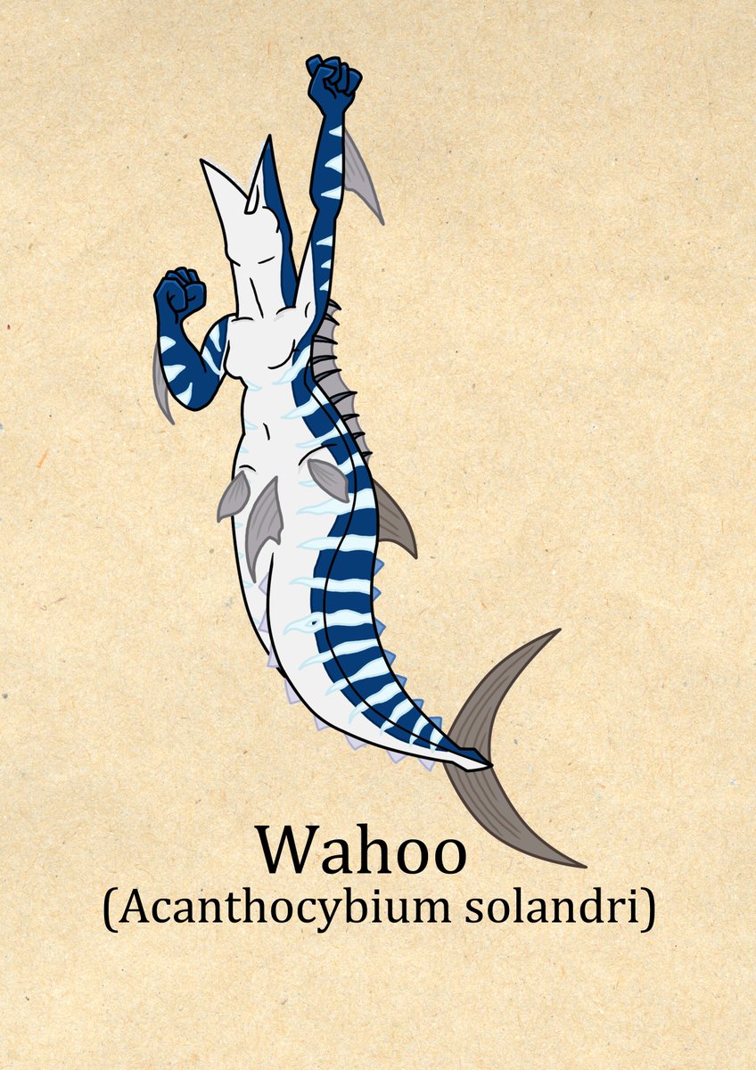thelimeofdoom's tweet photo. Day 21 of Mermay is the Wahoo! A prized game fish known for it's speed and they are among the fastest fish in the sea. Their colours quickly fade after death
#mermay #mermay2023 #mermaychallenge #mermaid #whaoo https://t.co/tu5bJjIBoJ
