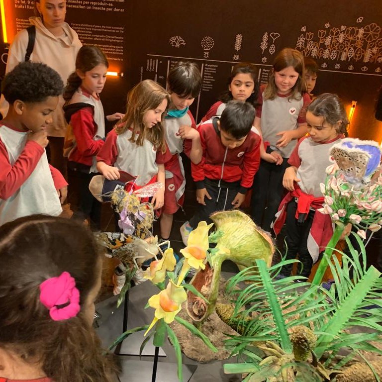 ImmaVedruna's tweet photo. L'alumnat de #3rPRIM visita el Jardí Botànic de Barcelona per ampliar el seu projecte. Han descobert la importància de la feina de les abelles pol·linitzadores tot fent una activitat.
#WorldBeeDay https://t.co/0oHBkVpOYE