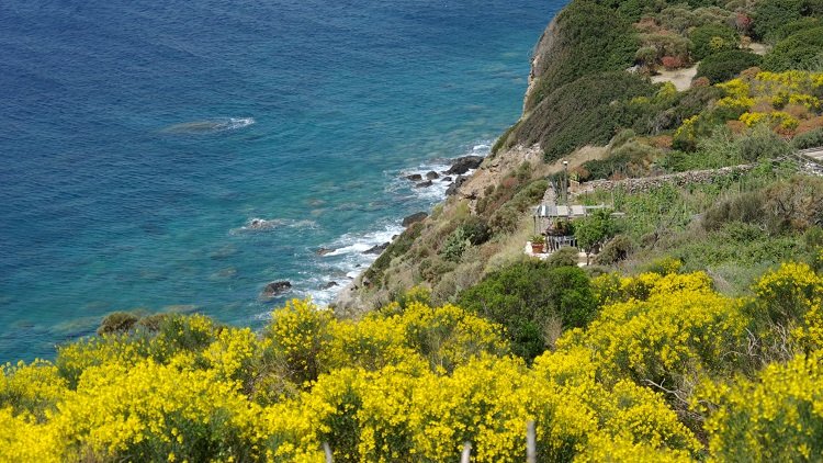 CiaoNico's tweet photo. #Ponza: #Trauminsel im #Mittelmeer vor den Toren Roms👉https://t.co/8JBpWFUgcJ @visit_lazio @FaroGuardia @visitponza @SonoitaliaInfo https://t.co/hxoX4pKAW9