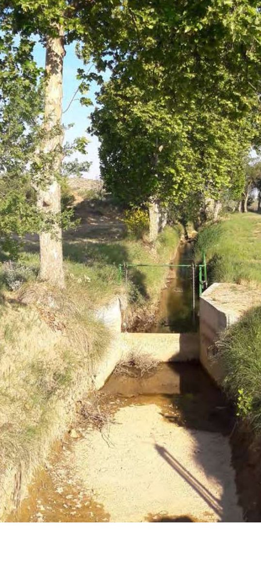 AvicultorL's tweet photo. Aquest és el canal d'Urgell, avuí hauria baixa plè, però enlloc d aigua baixa plè de precupacions pels @PagesosGPS , sabem que no hi aigua i que no podem fer nosaltres és vestir un Sant per desvestir un altre, ens em de salvar tots els pagesos. https://t.co/jVYeRVh1LJ
