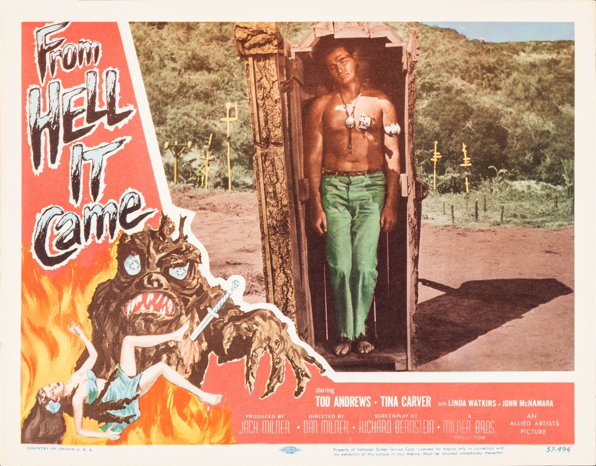 Terror_By_Night's tweet photo. From Hell It Came (Allied Artists, 1957)
Lobby Card (11" X 14")
.
#TerrorByNight #FromHellItCame #ClassicHorror #VintageHorror #MonsterKid
. https://t.co/MYojsE7xUG