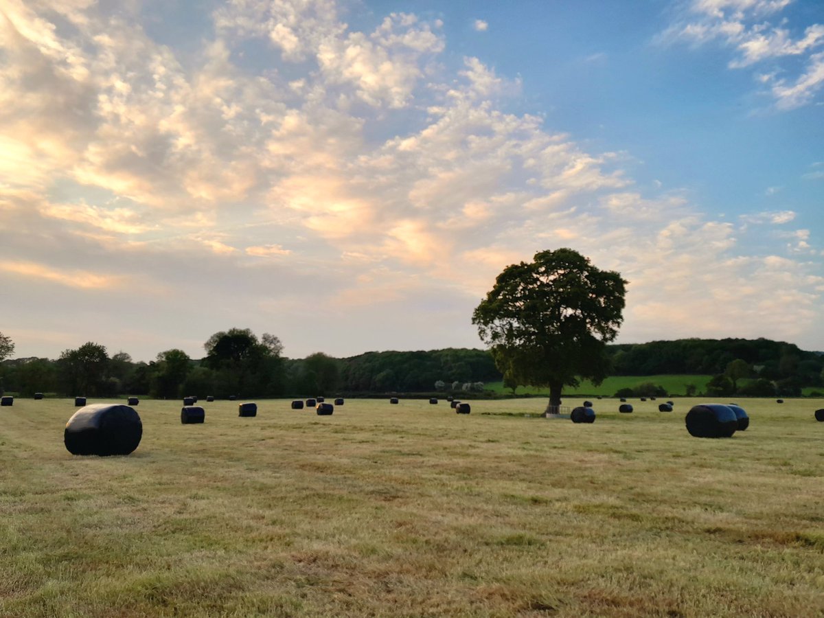 FfionClwyd's tweet photo. Belio tan berfeddion yn #Bodffari π π± tra'n bugeilio π adra a phorthi'r dynion ππ°π§ #Tywysog #lloia #Conwy #SirDdinbych
A full day here at Tywysog yesterday #Dinbych baling, shearing, checking stock & carting food to the workers π₯± #NorthWales π΄σ §σ ’σ ·σ ¬σ ³σ Ώ https://t.co/MPscgMpPfi