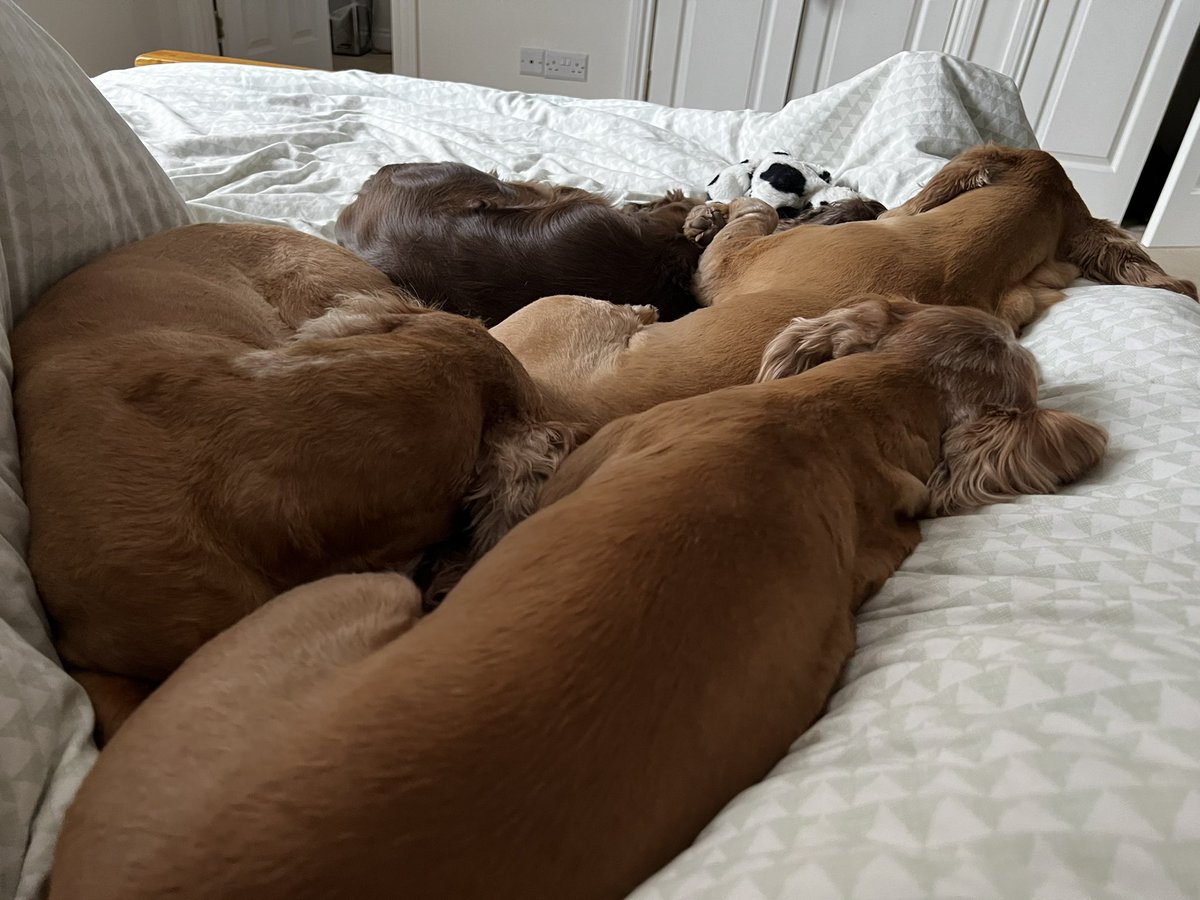 Getting this lot moving before a foot patrol in the rain, then heading east to Burntisland to see if I can remember how to play golf. 

First, coffee.