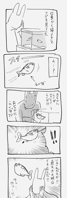 こないだちょっと嬉しかった発見