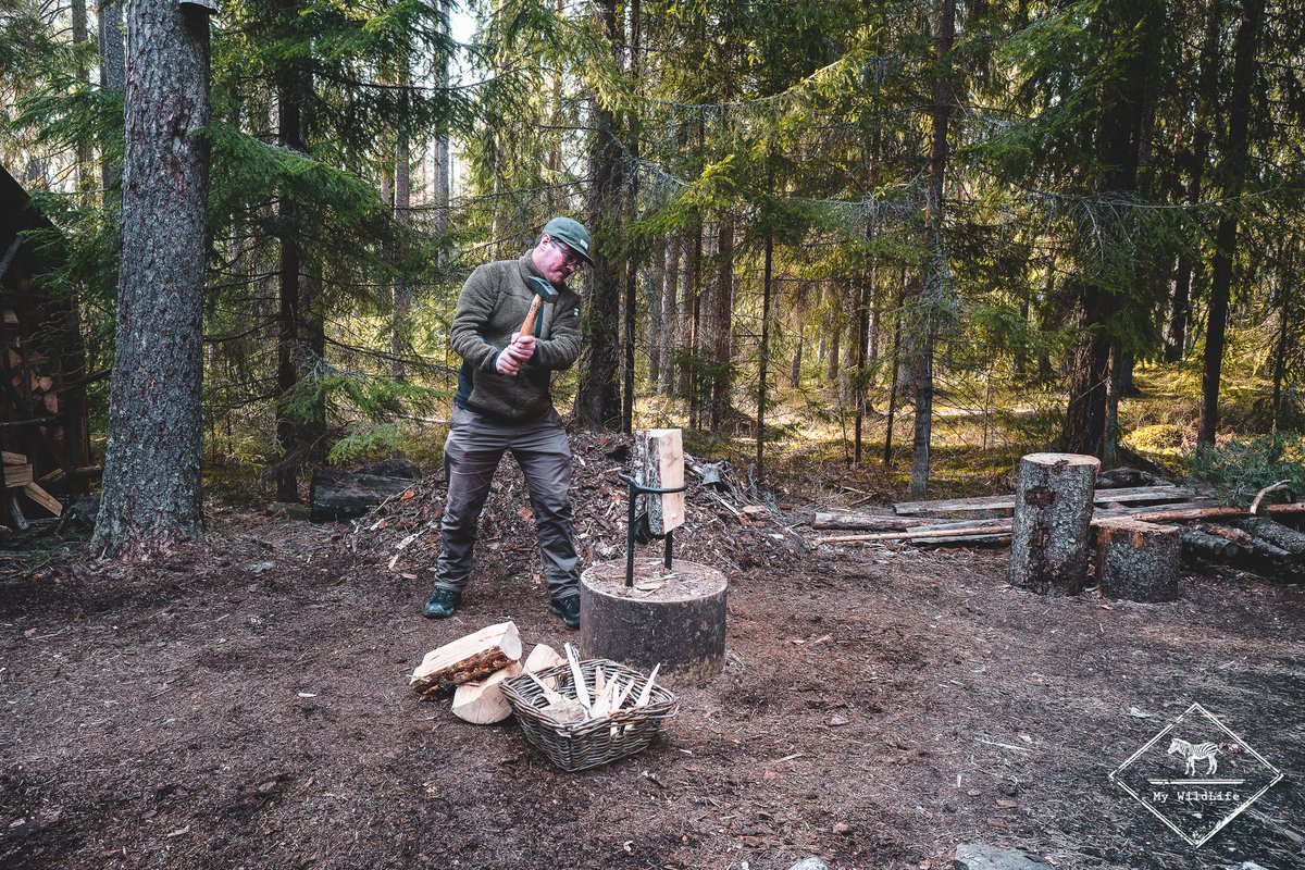 BlogMyWildlife's tweet photo. ► NOUVEL ARTICLE ◀︎ J’ai testé les cabanes du Kolarbyn Eco Lodge, l'hôtel le plus primitif de Suède https://t.co/zCRDmOBsji 🇸🇪 https://t.co/thTpx5K7cZ