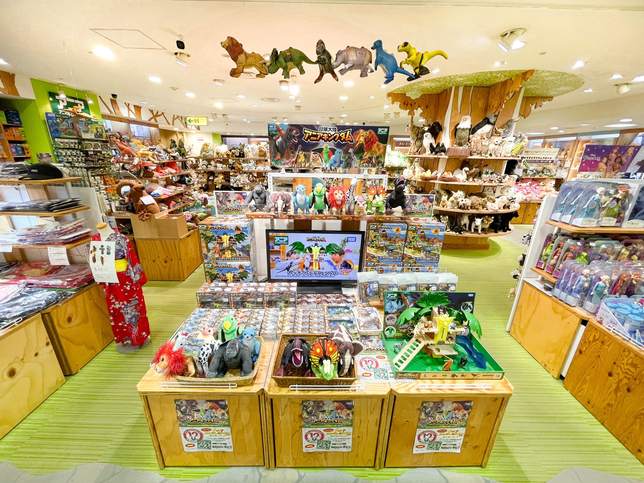博品館TOY PARK【公式】 on Twitter "銀座本店2F 『アニアキングダム』イベント開催中🦁🦖🦩🦒🌳🍃 遊べるサンプルもご
