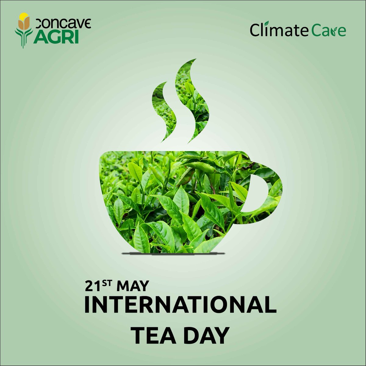 The essence of tea lies in the hands of farmers who pluck, process, and brew it with love. Wishing all the tea-farming communities a Happy International Tea Day! 🍃🍵 
#FarmersTeaEssence #InternationalTeaDay #TeaDay #TeaLoversUnite #TeaTime #TeaAppreciation #FarmersTea