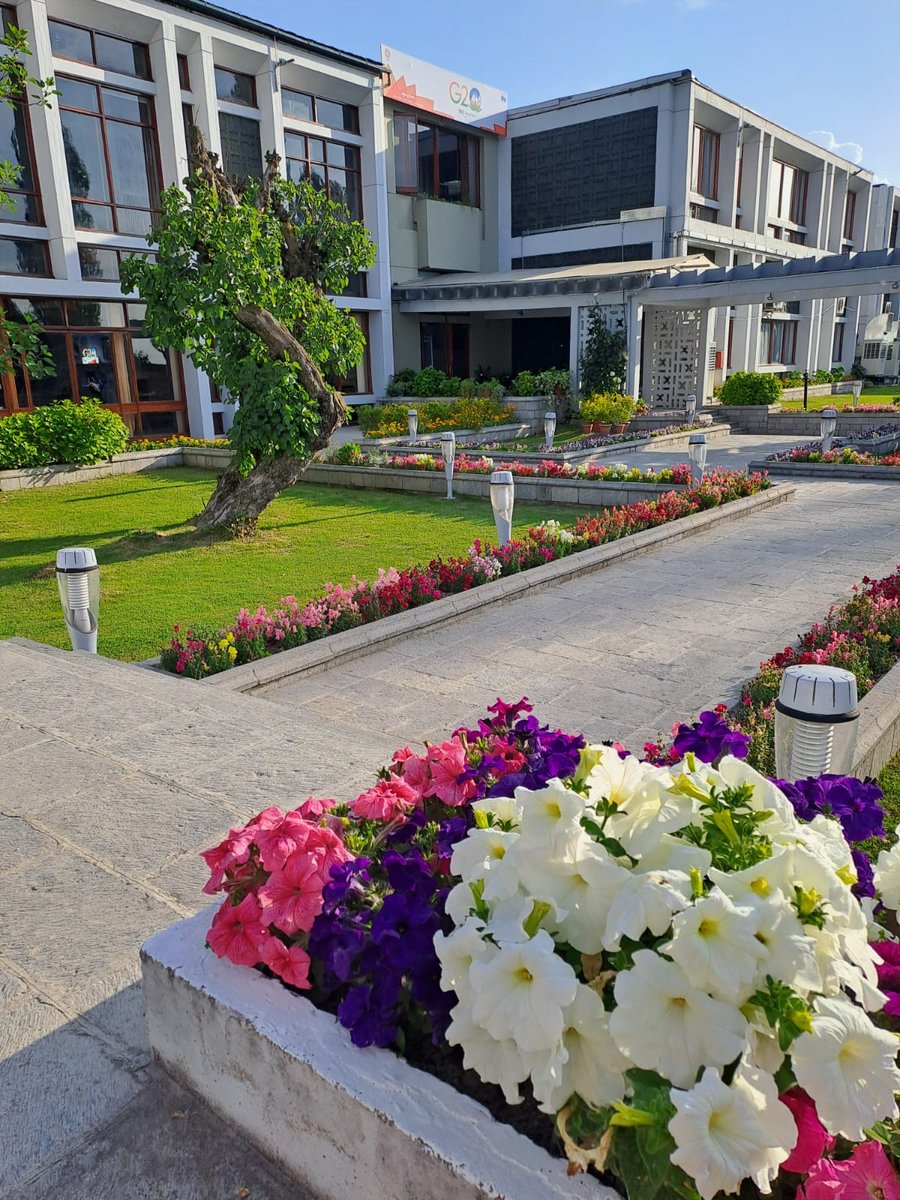 Harsh V Shringla tweet media