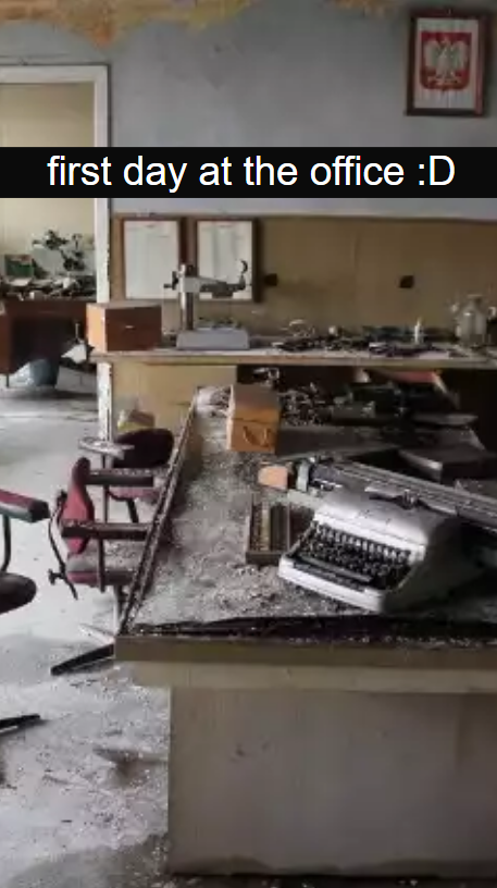 Bulbwaves tweet media