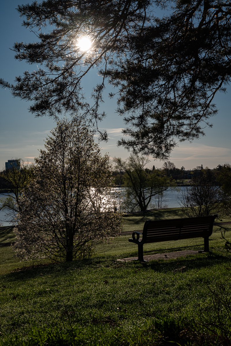 GM #photography fam!

Happy #Funday Sunday.

Let's see pictures featuring that great big ball of fire in the sky, our frenemy, the #sun.

REMINDER
1 Photo
NO links
Make new connections
Don't forget love

#sunphotograpy #sunrise #sunset #landscapephotography