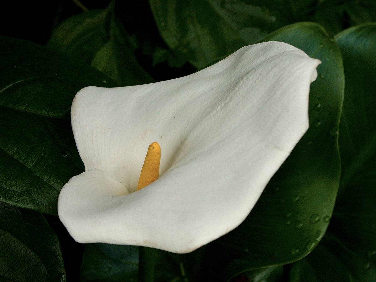 ira_machiou's tweet image. #pentax
#ccdsensor
#ファインダー超しの私の世界 
 #写真で伝える私の世界 
#キリトリセカイ
#写真の奏でる私の世界
#東京カメラ部
#tokyocameraclub
 #写真好きな人と繋がりたい 
#カメラ好きな人と繋がりたい
#写真撮ってる人と繋がりたい