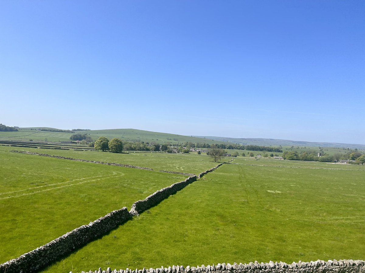 Adam McMillan tweet media