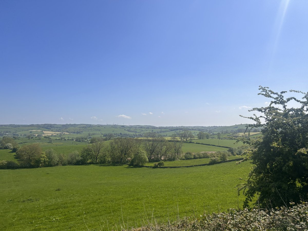 Adam McMillan tweet media