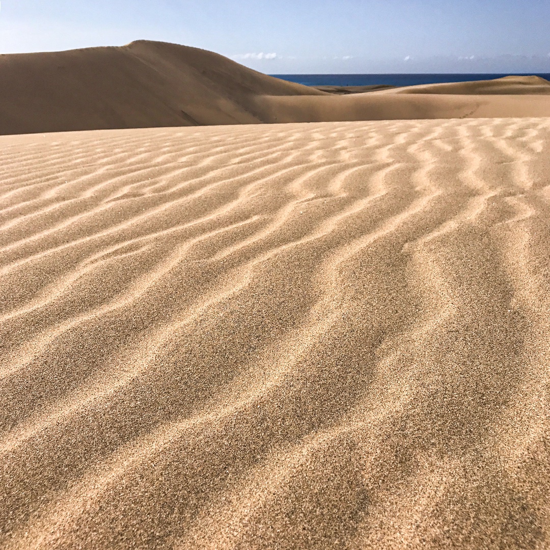 visitmaspalomas's tweet photo. 😍 #visitmaspalomas 
🌴 🌊 🏄🏼 ☀️ ⛱ 

#Maspalomas #Dunes #GranCanaria #islascanarias #lomas #canaryislands #visitspain #canarios5estrellas #spain #dunasmaspalomas #ocean #ilescanaries #beach #latituddevida #view #Meloneras #travel #goodvibes #travelphotography #outdoors https://t.co/wouvmhnZxj
