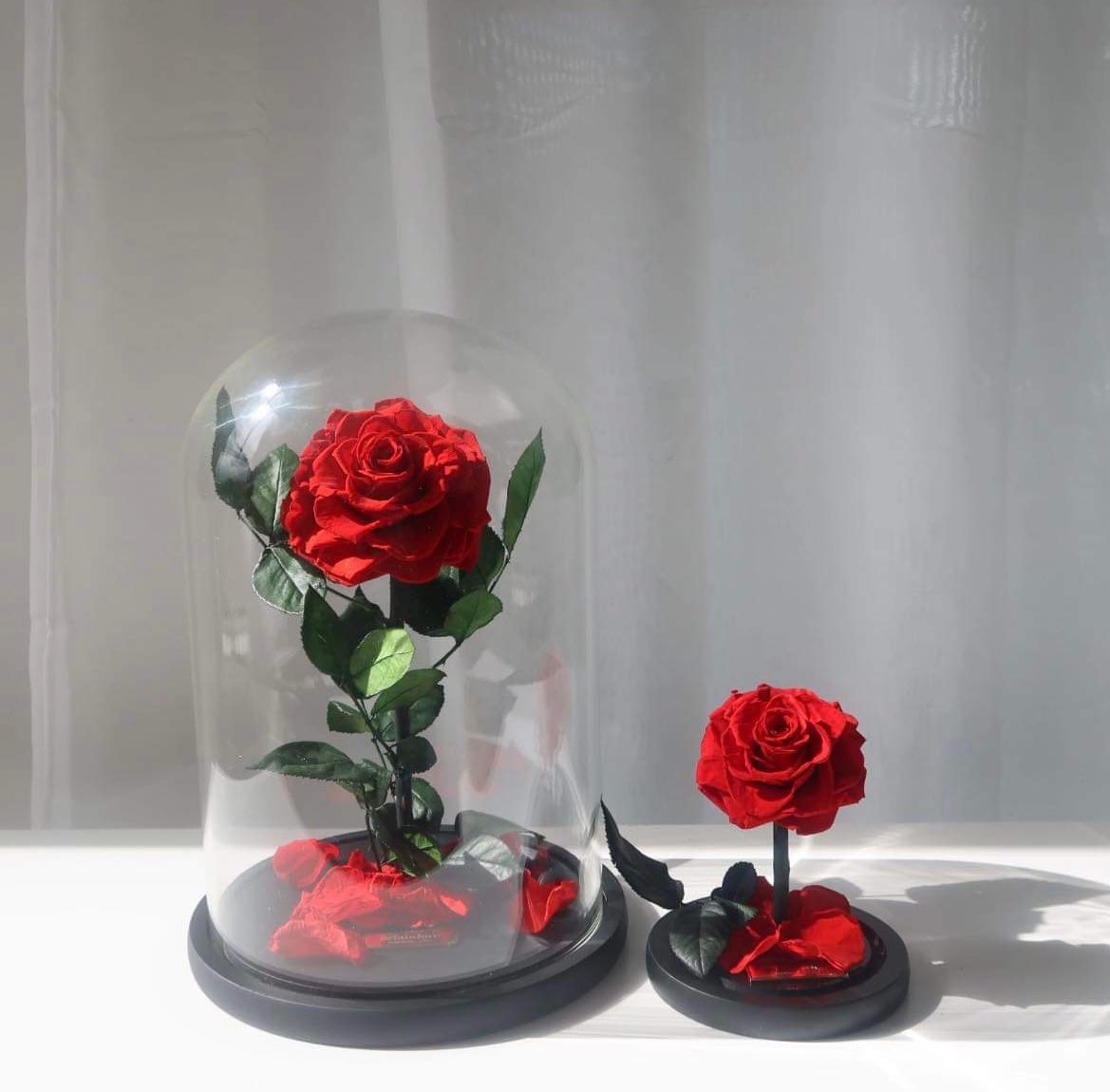 orlandorecoau's tweet image. These are literally the perfect gift #rosesthatlastayear #luxury #giftsforher