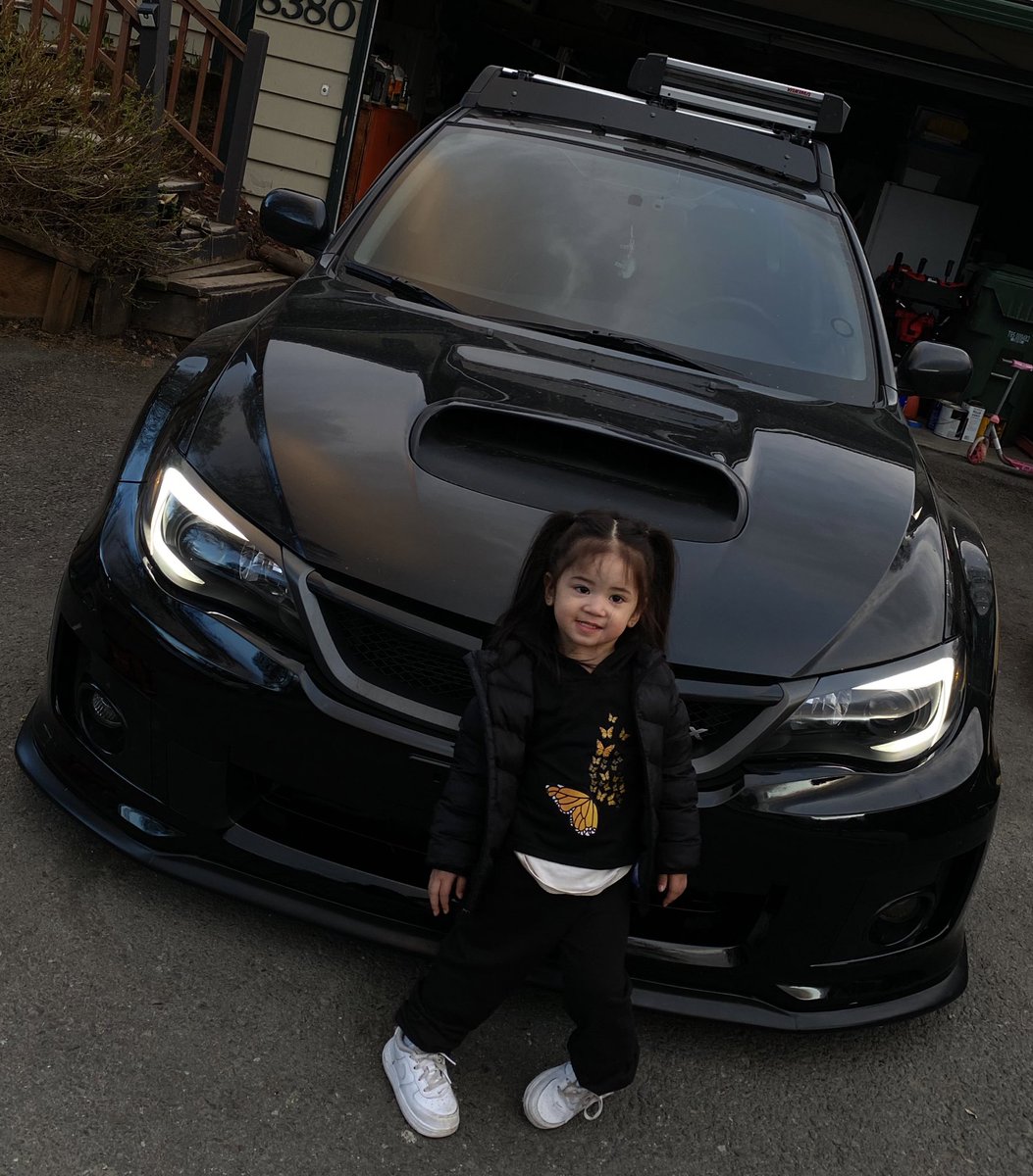 kngdonovan's tweet photo. my lil suki ❤️‍🔥 https://t.co/g3K7aGNPej