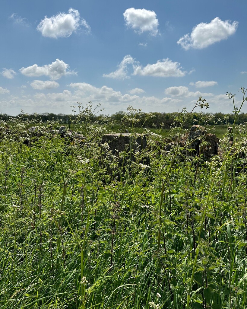 Zoe | Splodz 👣 tweet media