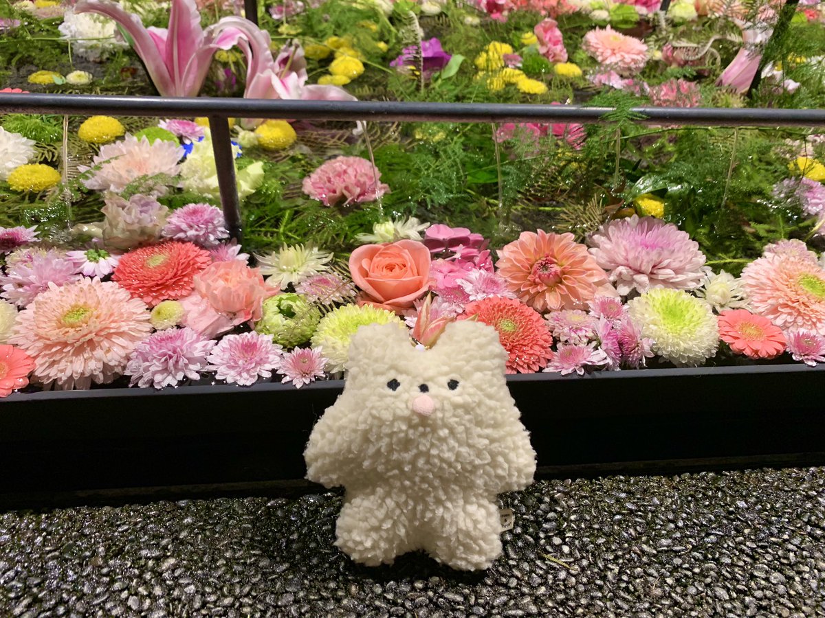 PEROBEAR_'s tweet photo. ใ่ฑใจ
#ใใญใใข #PEROBEAR #ใใซใผใใซใผใจใ#bluebluet #ใฌใๆฎใ #ใฌใใใใฟ #ใฌใใฉใ #ใฌใใใใใใ #ใฌใๆฎใใใใจ็นใใใใ #ใ่ฑ https://t.co/toa6rHO6lL