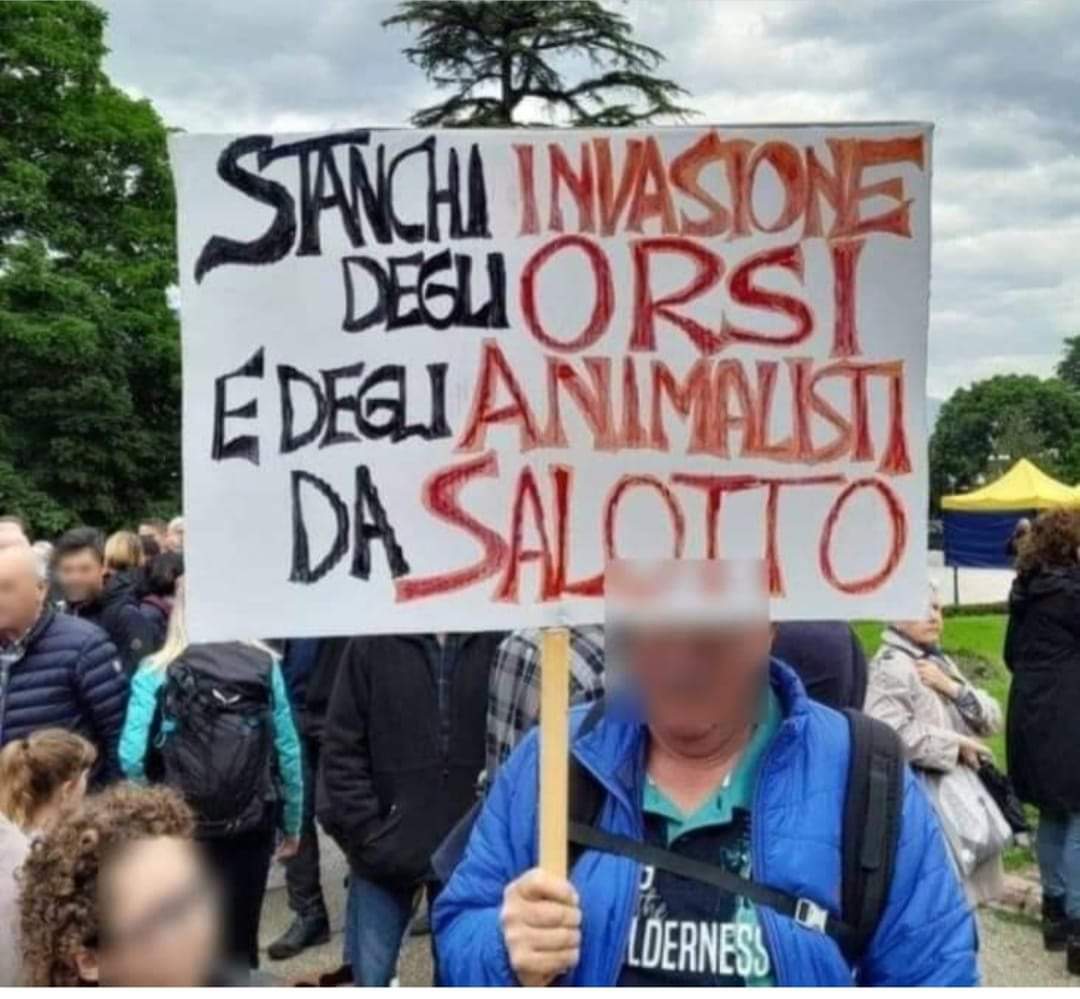 Trento (Italy) against bears and people!!! They want to kill bears! Would they also want to kill animal rights activists?! Let's stop this madness! No more blood and no more death: leave the animals alone!!! #freeanimals #freebears