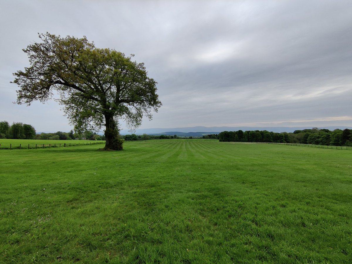 Sam Parry tweet media