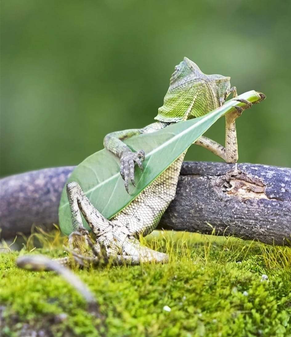 RT @Hana721107: “Be happy. It really annoys negative people.”
~ Ricky Gervais ~ https://t.co/l1IFL4u8kD