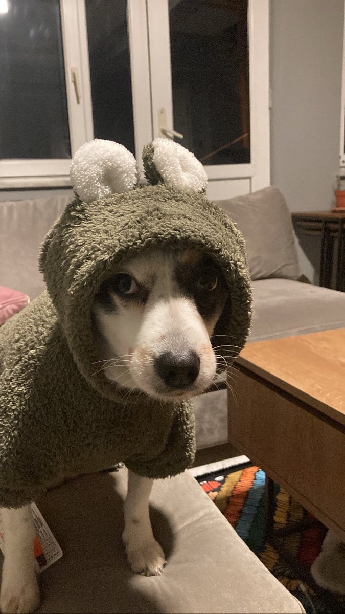 Ne demek oy vermicem ?