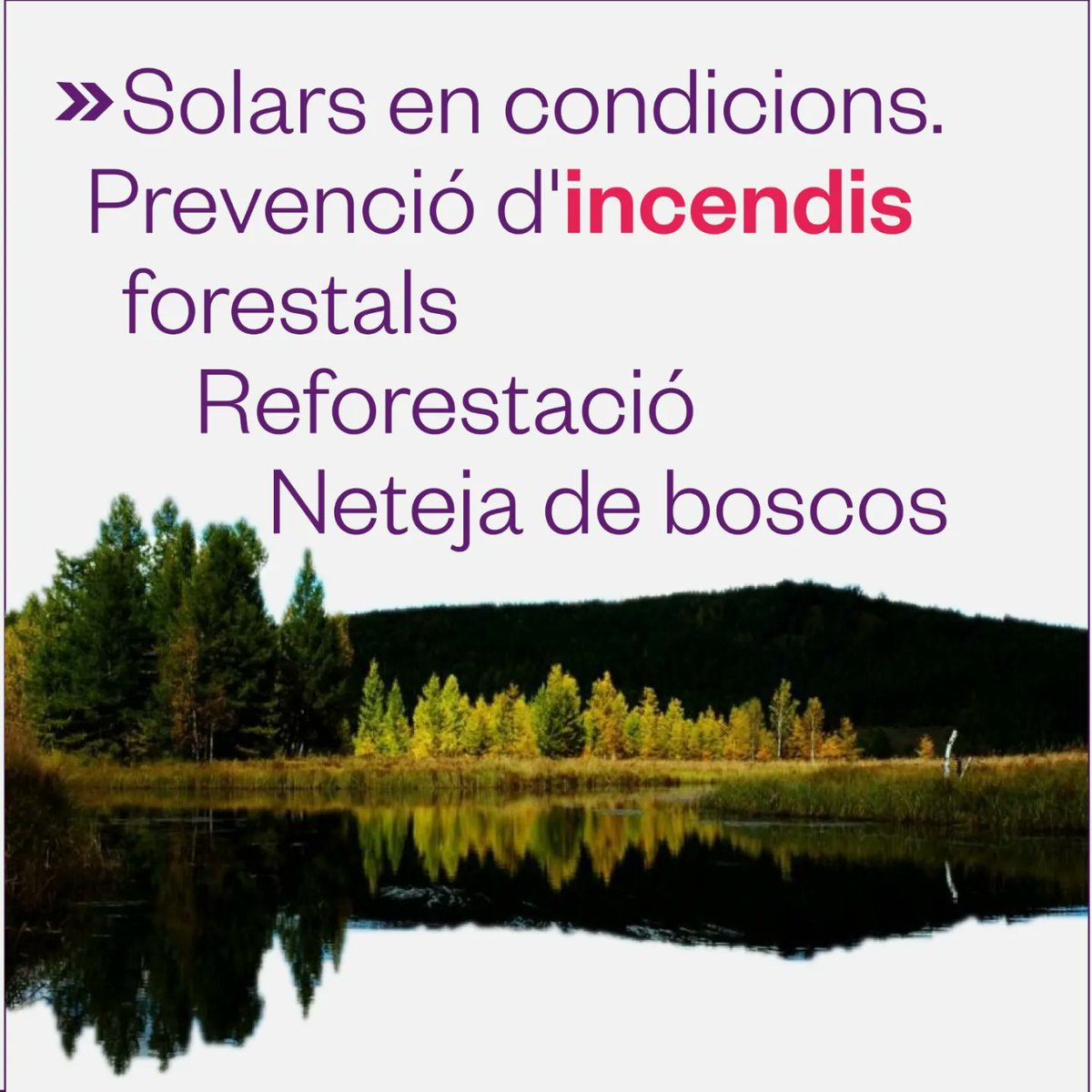 🙋 #calafell ha sofert els estralls de la sobreexplotació urbanística i la bombolla immobiliària.

💜  #orgulldecalafell. Volem que se sumi al #sentitcomú .

➡️ El 14 de la llista, el Carlos González o Carlos Goex, activista nouvingut, tot terreny i mestre de la fotografia.