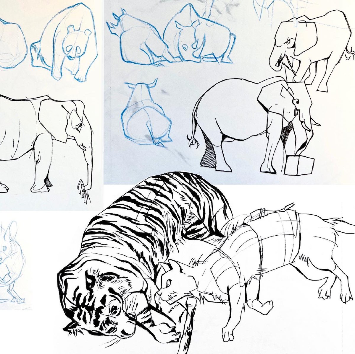 buildgrist tweet media