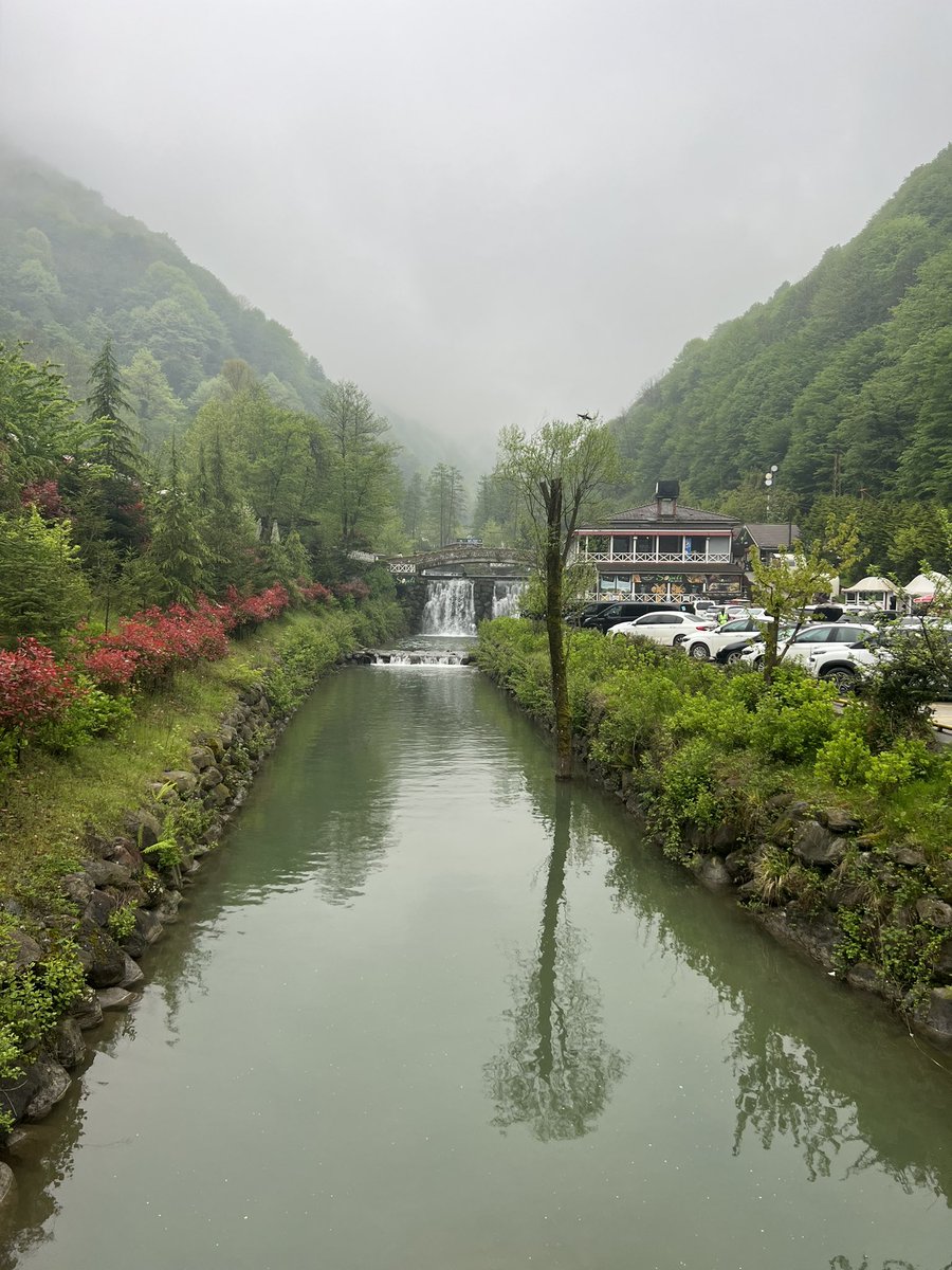 Toprak, sevdiklerimizi aldığı için mi böyle güzel kokar. Nazım Hikmet