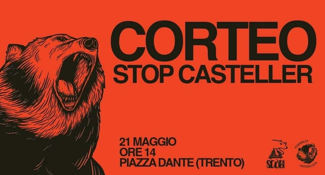 Maripandol's tweet photo. Forza ragazzi oggi siamo tutti con voi
a contestare Fugatti e la sua cieca politica, per impedire che gli orsi vengano giustiziati
#fugattidimettiti
#boicottailtrentino
#jj4libera
#stopcasteller
@orsiliberi
#assemleaantispecista
#scobi
https://t.co/Wl5wAxcDfd https://t.co/56RhNDO08Y