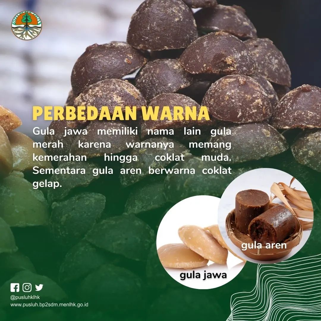 kemenhut_ri's tweet photo. Ada yang mau menambahkan Sobat Hijau?
#klhk
#gulaaren
#gulajawa https://t.co/T02NoGUti4