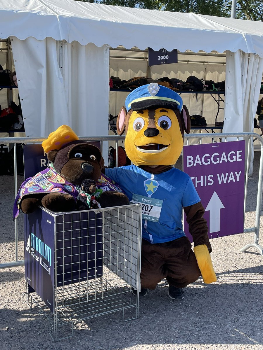 George the Gorilla (@georgetgorilla) on Twitter photo Good luck Chase, <a href="/2ndExeterScouts/">2nd Exeter Scouts</a> <a href="/DevonScouts/">DevonScouts</a> Good luck Chase, <a href="/2ndExeterScouts/">2nd Exeter Scouts</a> <a href="/DevonScouts/">DevonScouts</a>