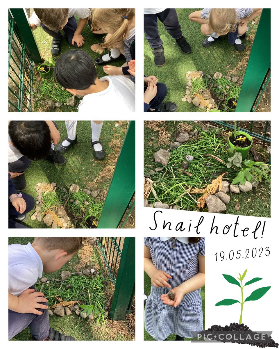 Reception L tweet media