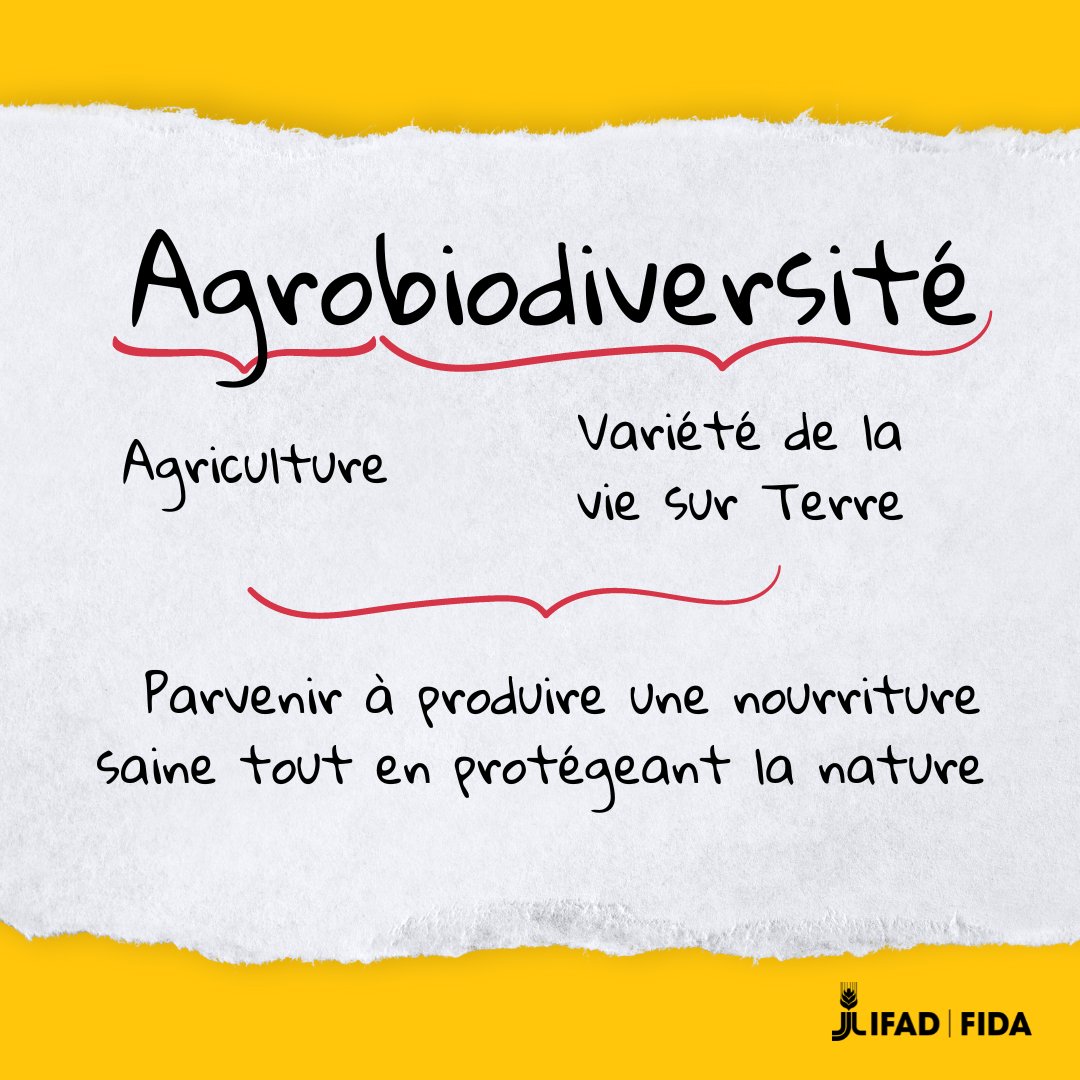 Alors qu'elle pourrait contribuer à la biodiversité, l'agriculture est aujourd'hui l'une des principales causes de son déclin. 
 
Pour nourrir la planète et atteindre l’objectif #FaimZéro, il faut faire bouger les lignes. L'agrobiodiversité est la clé du succès 🌱 🥭🙌