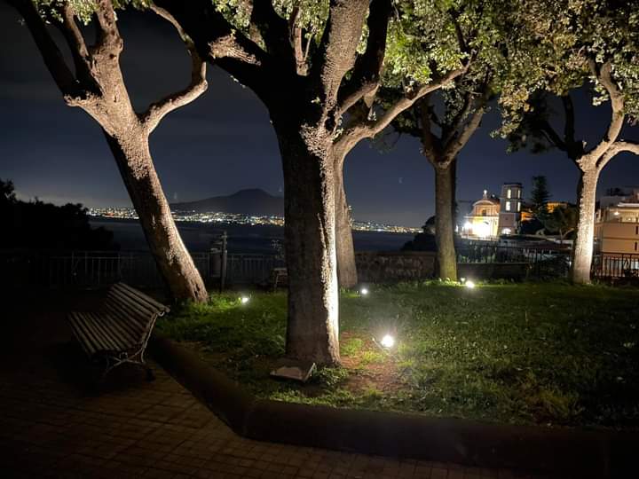 ღ ภєfєlє ღ tweet media