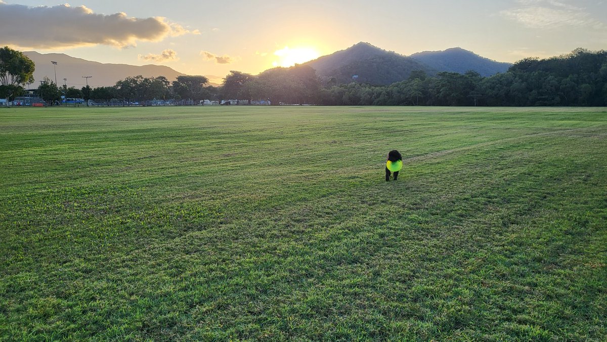 Tony Clifton tweet media