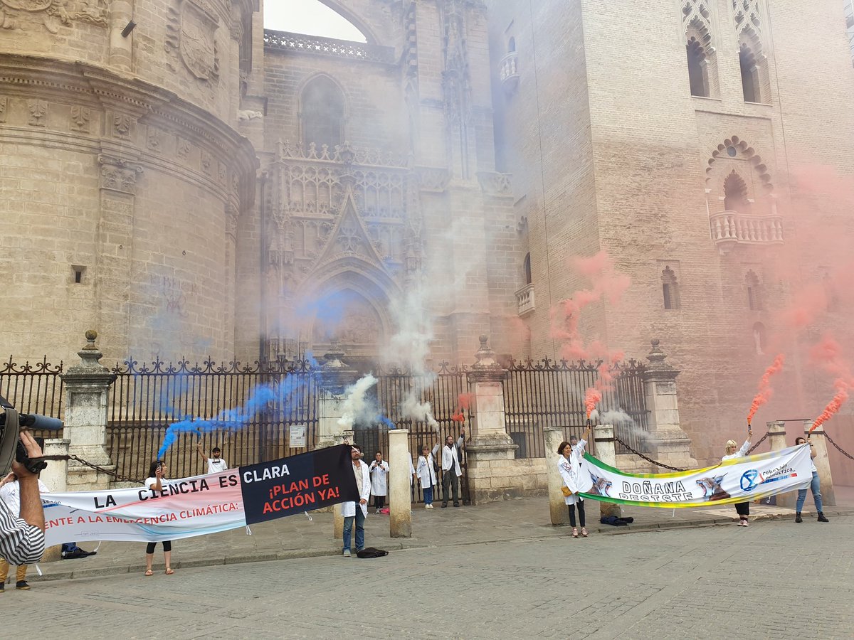 Rebelión Científica se encadena a la Giralda de Sevilla exigiendo #PlandeAcciónYA. ¿Cómo reaccionarías si saqueasen este patrimonio de la UNESCO? Esto está ahora mismo pasando con Doñana. #DoñanaResiste

Abrimos hilo☝️