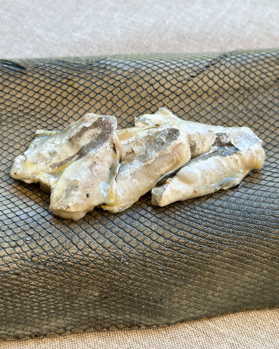 vilaviniteca tweet media